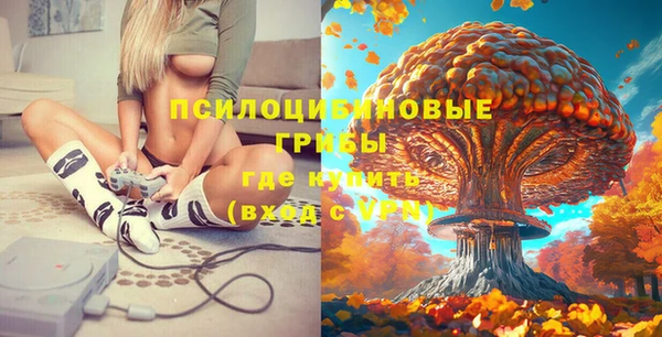 ПСИЛОЦИБИНОВЫЕ ГРИБЫ Балахна